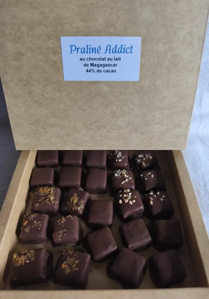 Assortiment de praliné au lait 44% de cacao